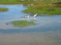 cozumel151_small.jpg