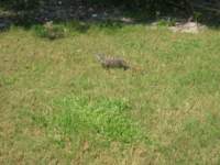 cozumel153_small.jpg