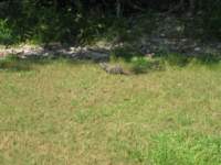 cozumel154_small.jpg