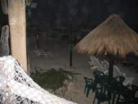 darkbeach_small.jpg