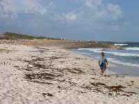 dianeonthebeach_small.jpg