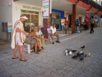 feedingthepigeons_small.jpg