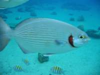 img_2925_small.jpg