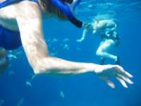 img_3272_small.jpg