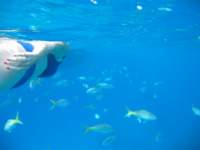 img_3273_small.jpg