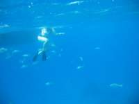 img_3274_small.jpg