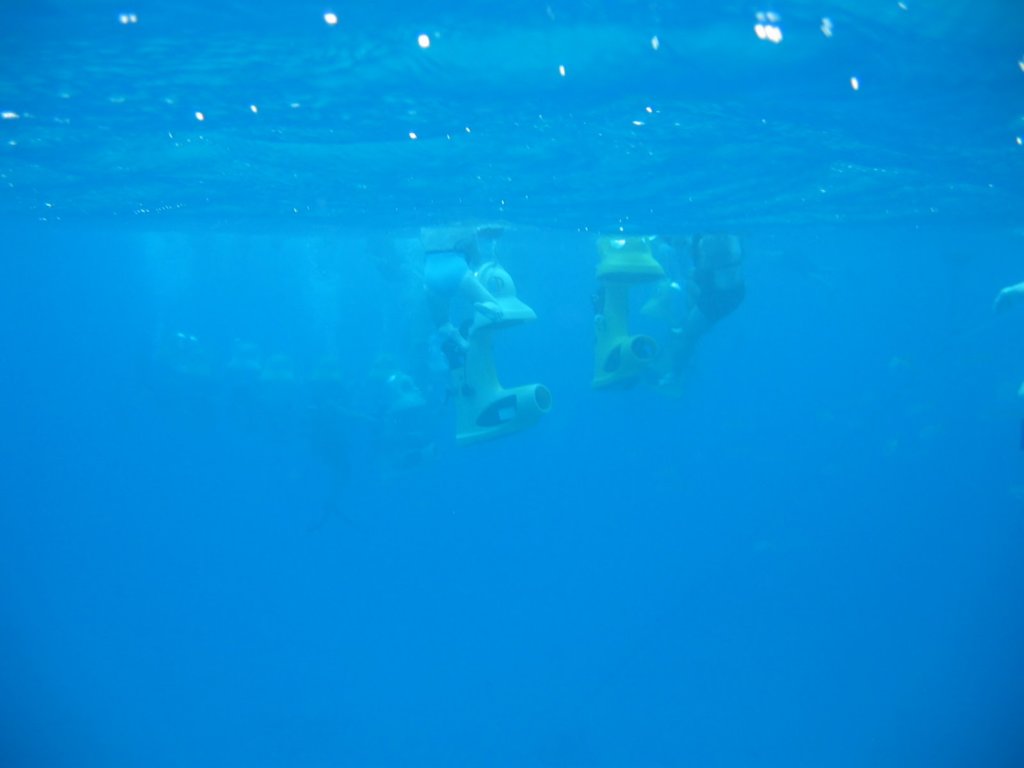 img_3275.jpg