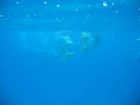img_3275_small.jpg