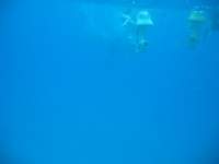 img_3276_small.jpg