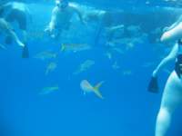img_3278_small.jpg