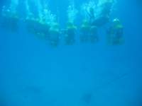 img_3279_small.jpg