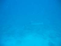img_3281_small.jpg
