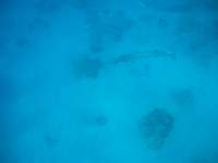 img_3282_small.jpg