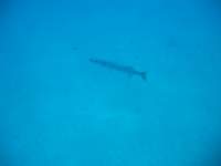 img_3286_small.jpg
