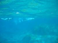 img_3287_small.jpg