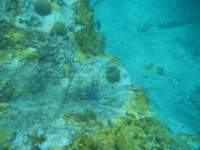 img_3288_small.jpg