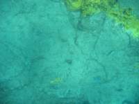 img_3290_small.jpg