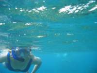 img_3291_small.jpg