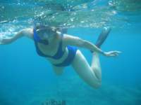 img_3292_small.jpg