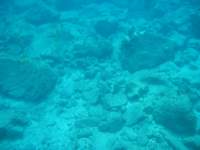img_3294_small.jpg