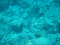 img_3295_small.jpg