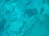 img_3296_small.jpg