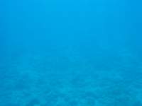 img_3297_small.jpg