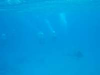 img_3299_small.jpg