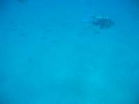 img_3300_small.jpg