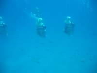 img_3301_small.jpg