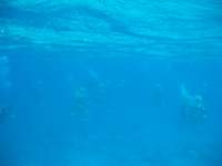 img_3302_small.jpg