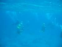 img_3303_small.jpg