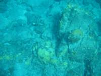 img_3304_small.jpg