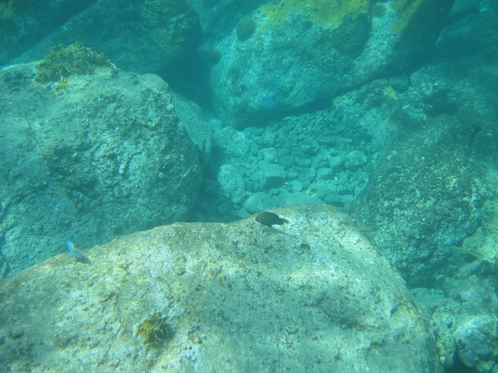 img_3307.jpg