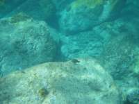 img_3307_small.jpg