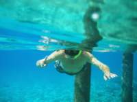 jimsnorkling_small.jpg