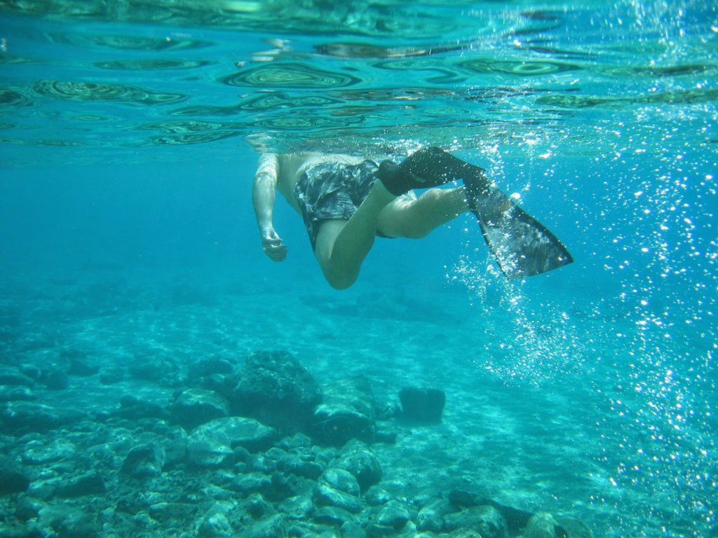 jimswimmingaway.jpg