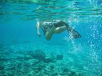 jimswimmingaway_small.jpg