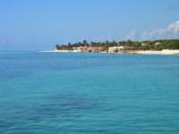 lookingsouthatplayadelcarmen_small.jpg