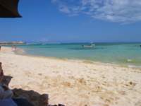 morebeach_small.jpg