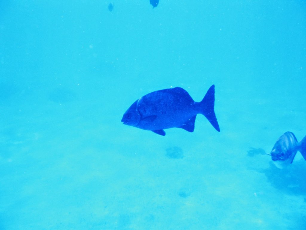 photo11.jpg