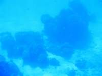 photo12_small.jpg