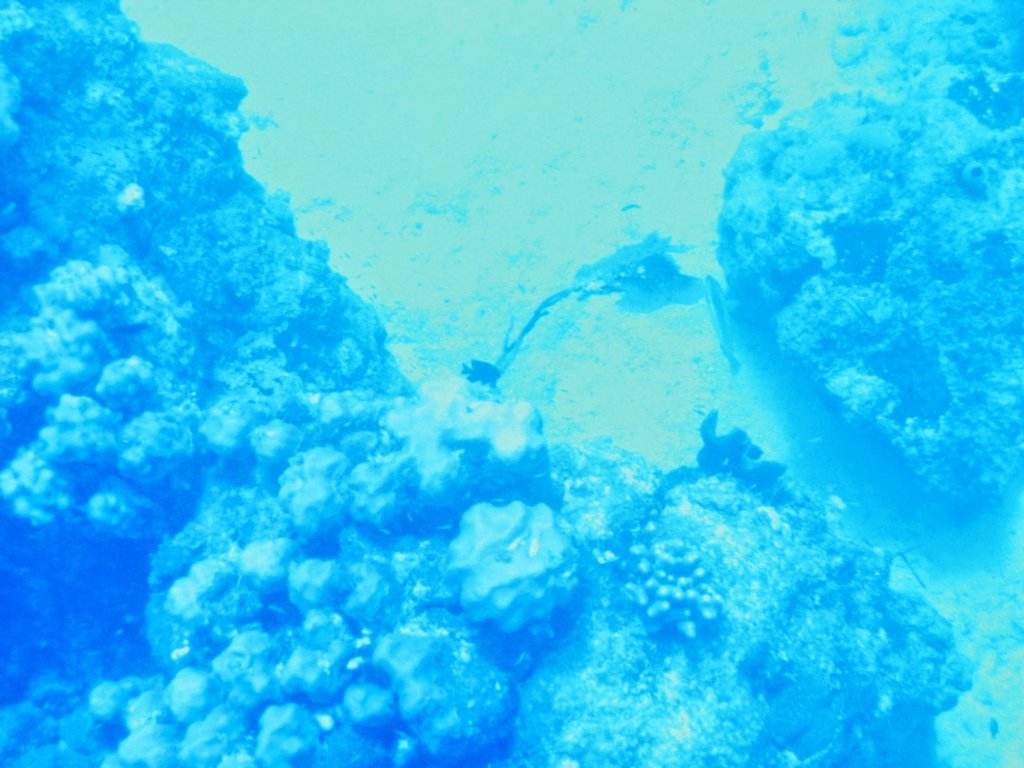 photo13.jpg