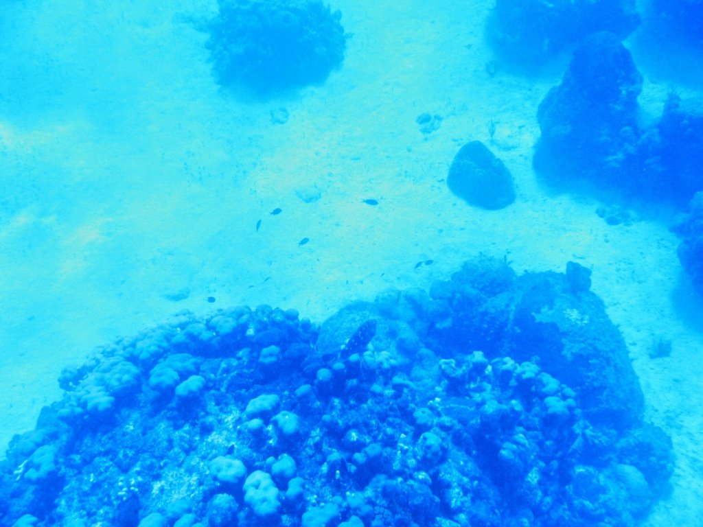photo14.jpg
