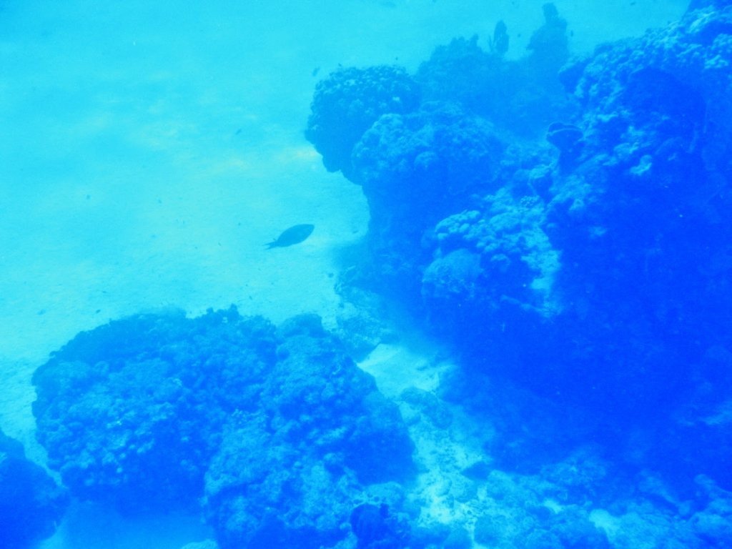 photo15.jpg