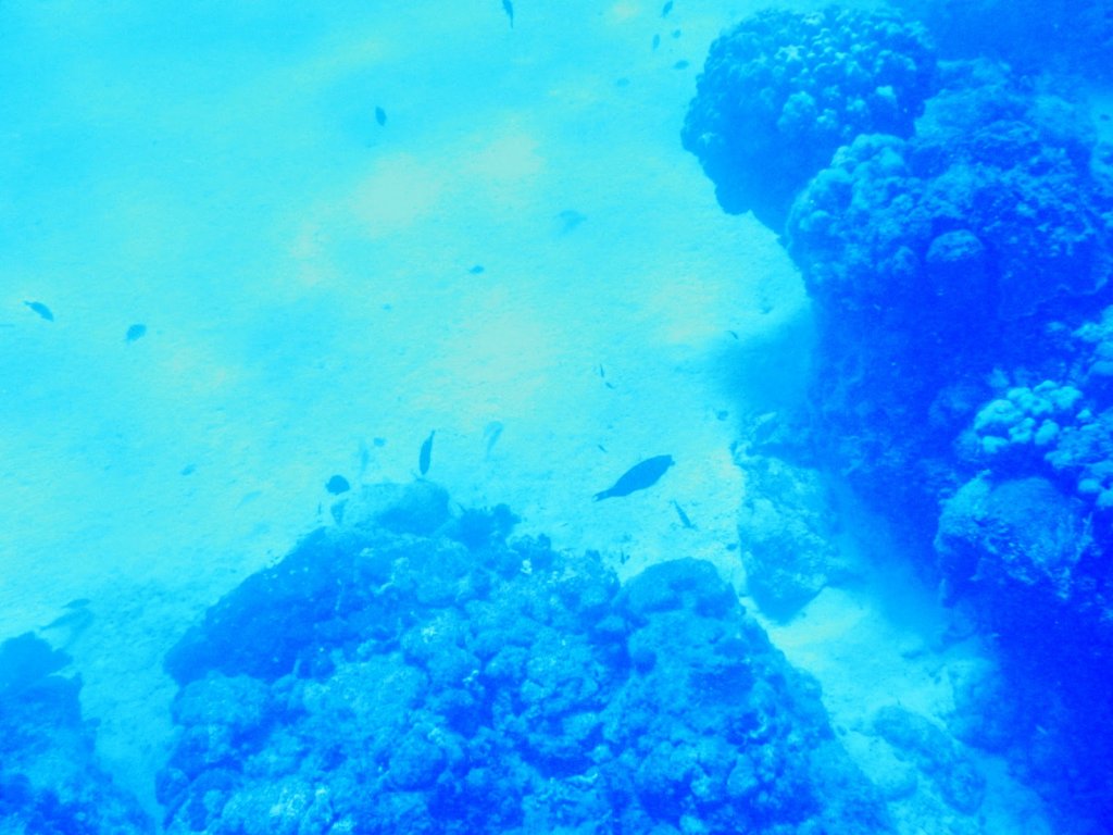 photo16.jpg