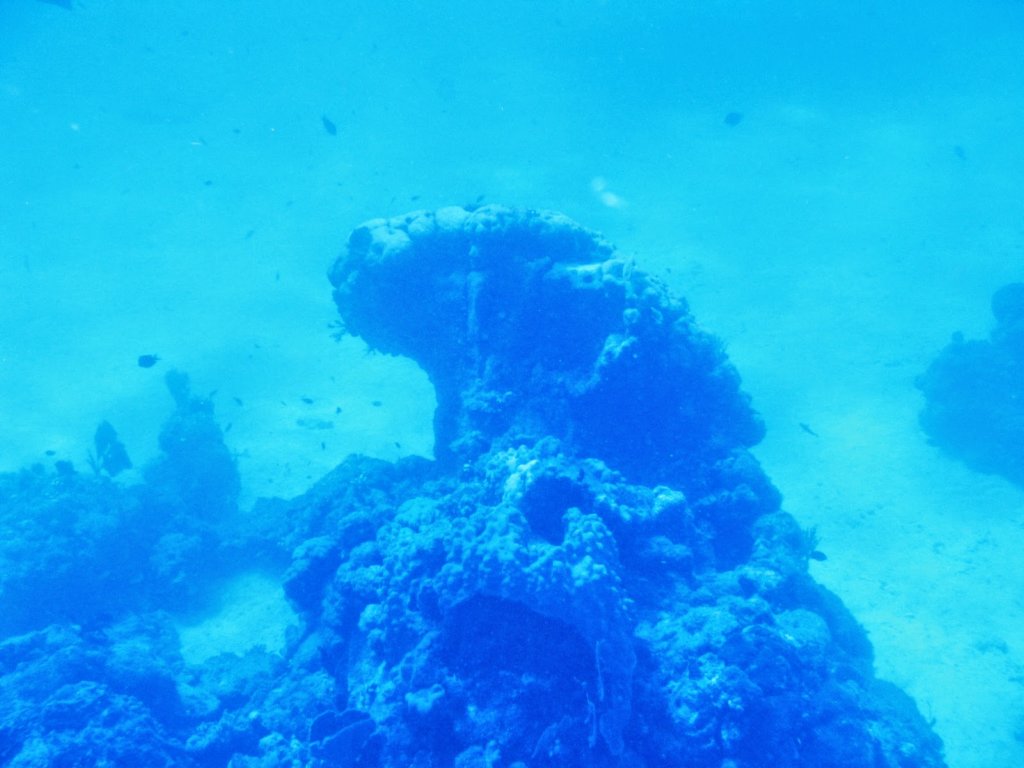 photo17.jpg