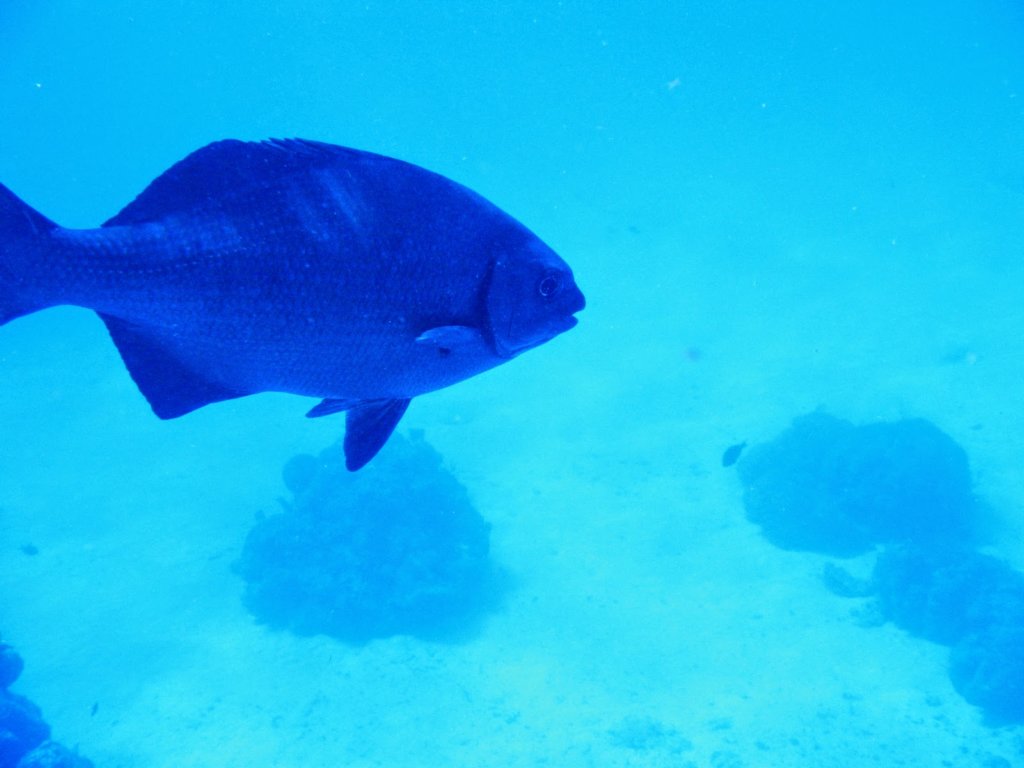photo19.jpg