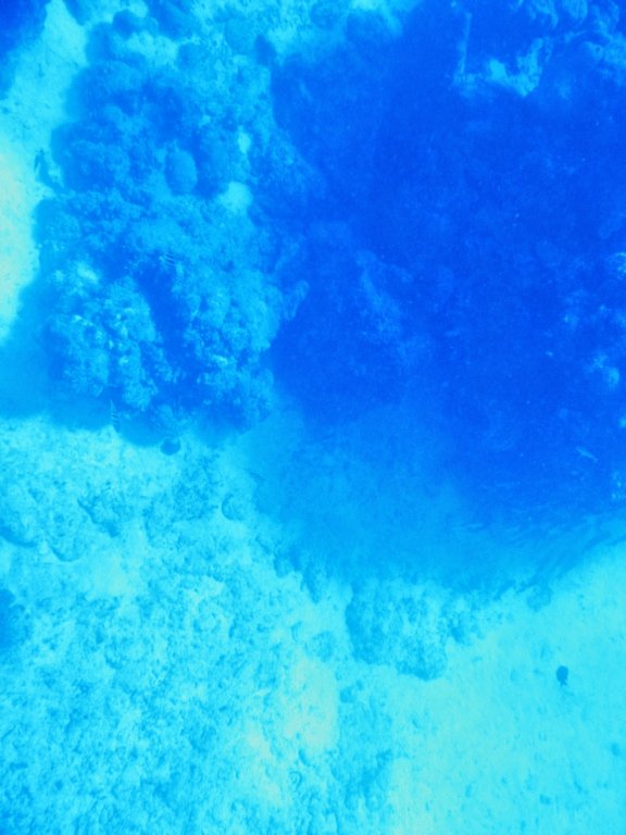 photo21.jpg
