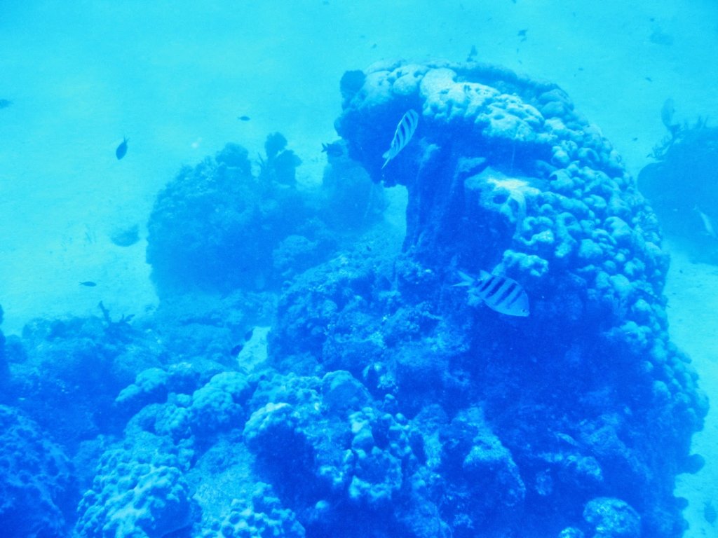 photo23.jpg